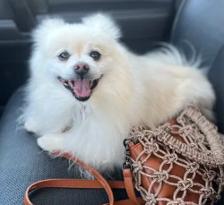 review-Sarah